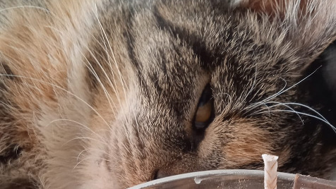 Zdjęcie aktualizacji 133 499