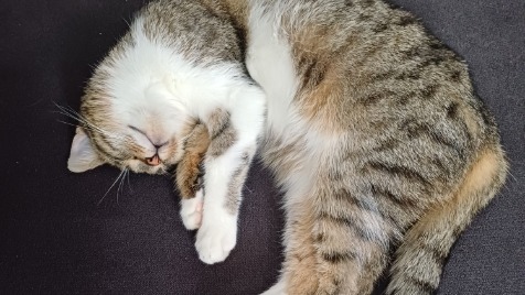 Zdjęcie aktualizacji 133 514