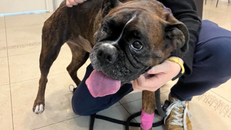 Zdjęcie aktualizacji 133 665