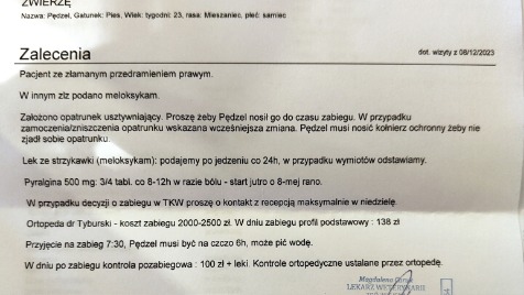 Zdjęcie aktualizacji 133 827