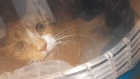 Zdjęcie aktualizacji 134 010