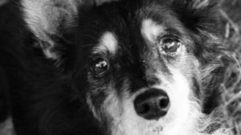 Zdjęcie aktualizacji 134 099