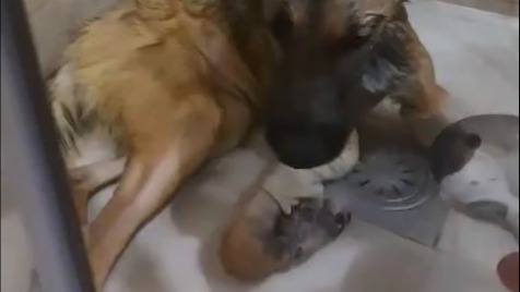 Zdjęcie aktualizacji 134 157