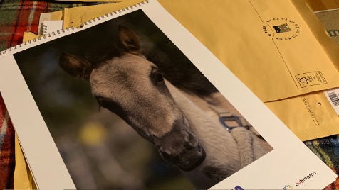 Zdjęcie aktualizacji 134 447