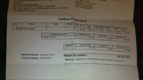 Zdjęcie aktualizacji 13 449