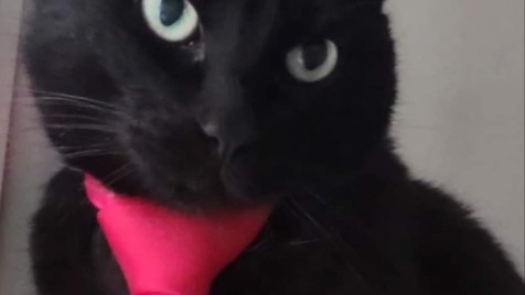 Zdjęcie aktualizacji 134 895