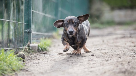 Zdjęcie aktualizacji 135 113