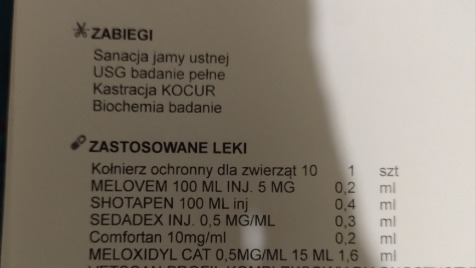 Zdjęcie aktualizacji 135 442