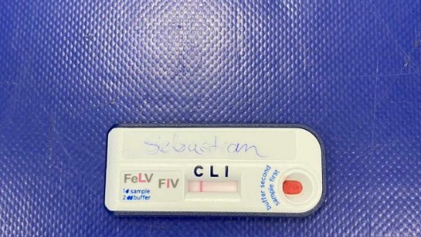 Zdjęcie aktualizacji 135 526