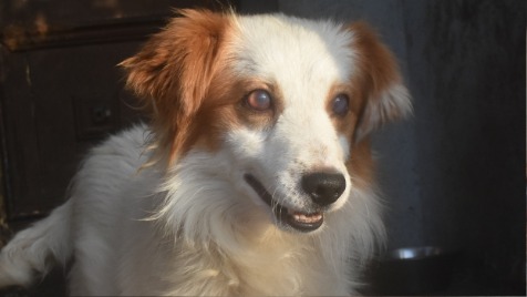 Zdjęcie aktualizacji 135 573