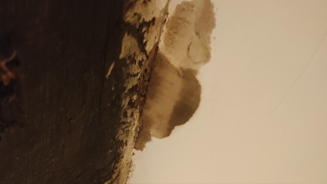 Zdjęcie aktualizacji 135 644