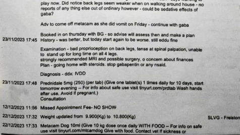 Zdjęcie aktualizacji 135 772