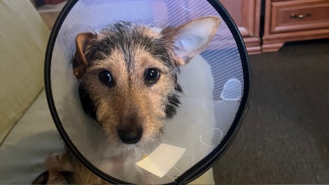 Zdjęcie aktualizacji 136 305