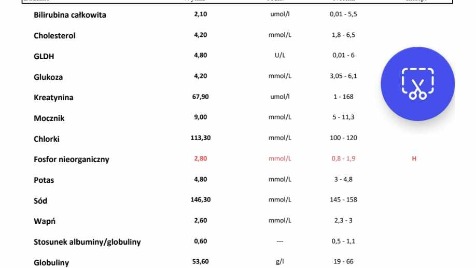Zdjęcie aktualizacji 136 706