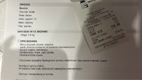 Zdjęcie aktualizacji 136 889