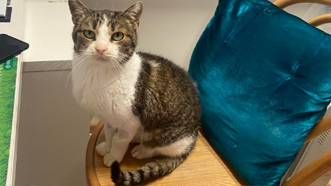 Zdjęcie aktualizacji 137 155