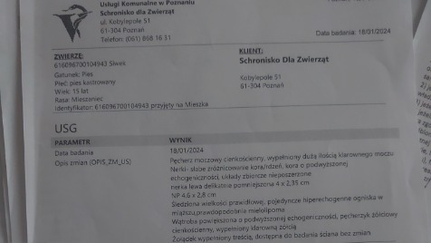 Zdjęcie aktualizacji 137 179