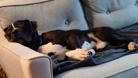 Zdjęcie aktualizacji 137 278