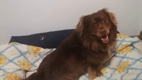 Zdjęcie aktualizacji 137 941