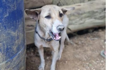 Zdjęcie aktualizacji 137 963