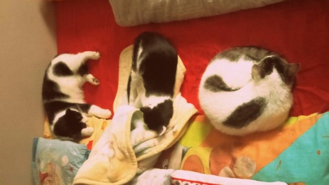 Zdjęcie aktualizacji 138 010