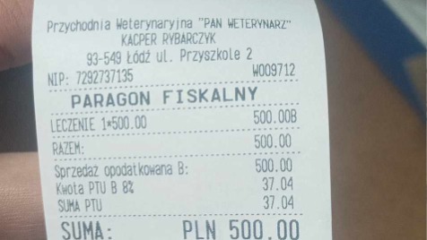 Zdjęcie aktualizacji 138 314