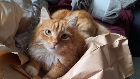 Zdjęcie aktualizacji 138 455