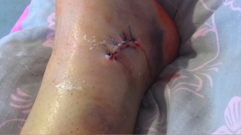 Zdjęcie aktualizacji 138 534