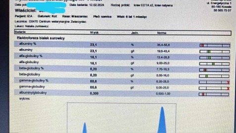Zdjęcie aktualizacji 138 609