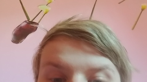 Zdjęcie aktualizacji 138 661