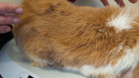 Zdjęcie aktualizacji 138 669