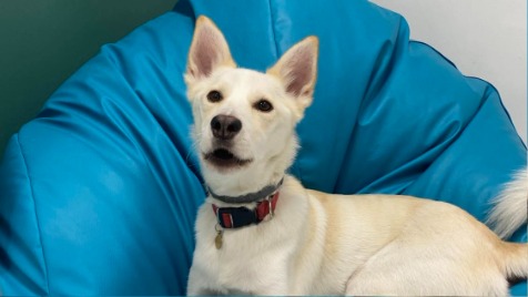 Zdjęcie aktualizacji 138 915