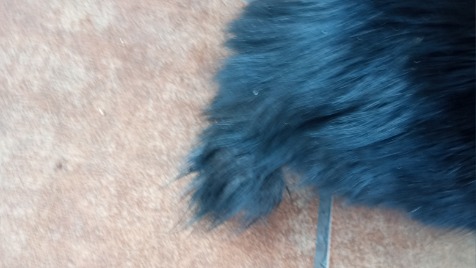 Zdjęcie aktualizacji 138 972