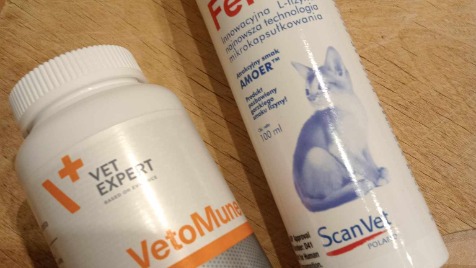 Zdjęcie aktualizacji 138 983