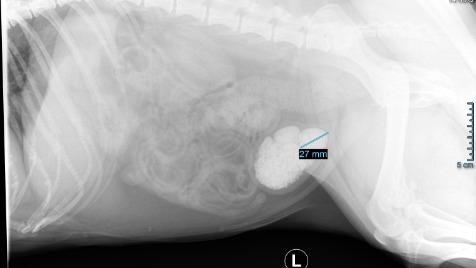 Zdjęcie aktualizacji 138 989