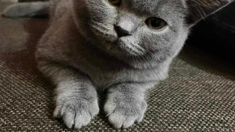 Zdjęcie aktualizacji 139 098