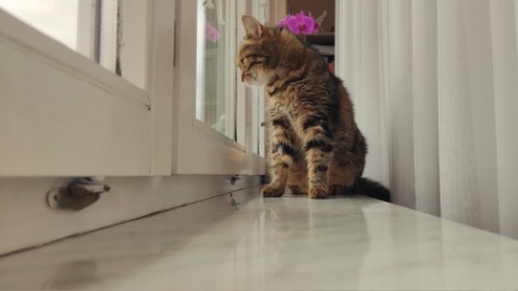 Zdjęcie aktualizacji 139 441