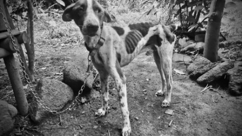 Zdjęcie aktualizacji 139 471