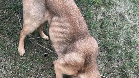 Zdjęcie aktualizacji 139 492