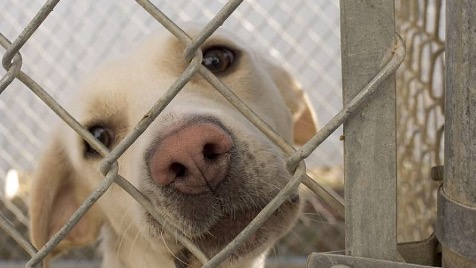 Zdjęcie aktualizacji 13 952