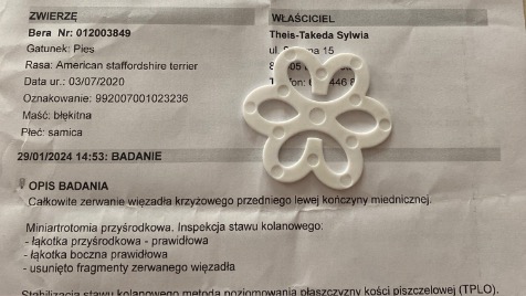 Zdjęcie aktualizacji 139 535