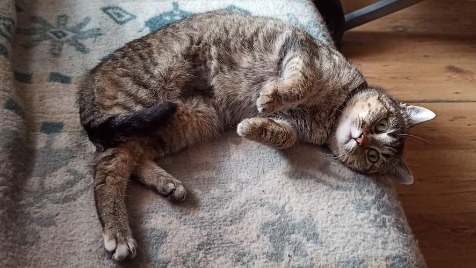 Zdjęcie aktualizacji 139 727