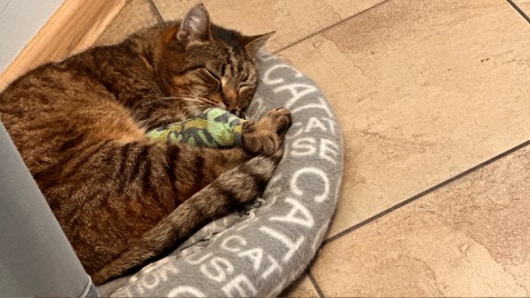 Zdjęcie aktualizacji 139 728