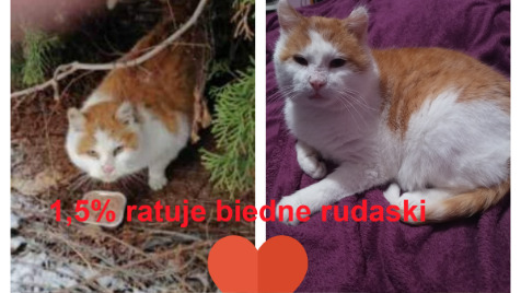 Zdjęcie aktualizacji 139 849