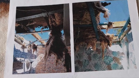 Zdjęcie aktualizacji 139 920