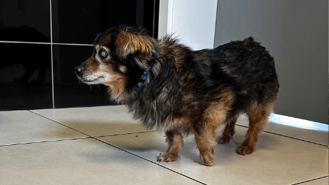 Zdjęcie aktualizacji 140 370