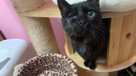 Zdjęcie aktualizacji 140 690