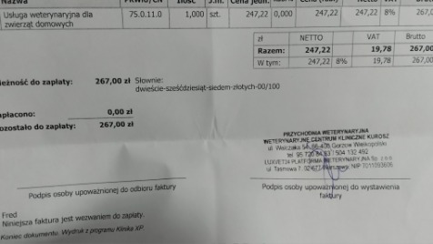 Zdjęcie aktualizacji 140 766