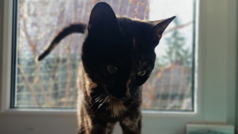 Zdjęcie aktualizacji 141 286