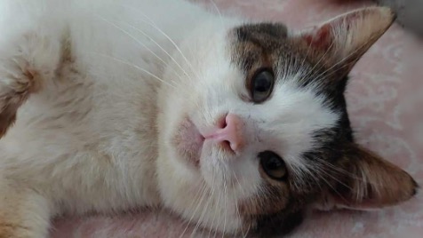 Zdjęcie aktualizacji 141 346